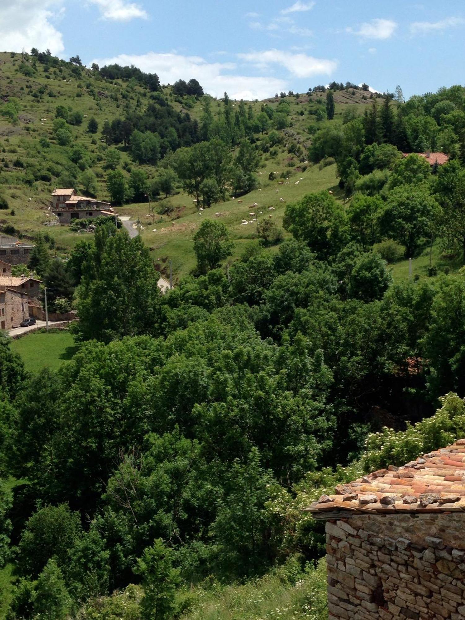 Apartament Cal Xesc Castellar De N'Hug Zewnętrze zdjęcie