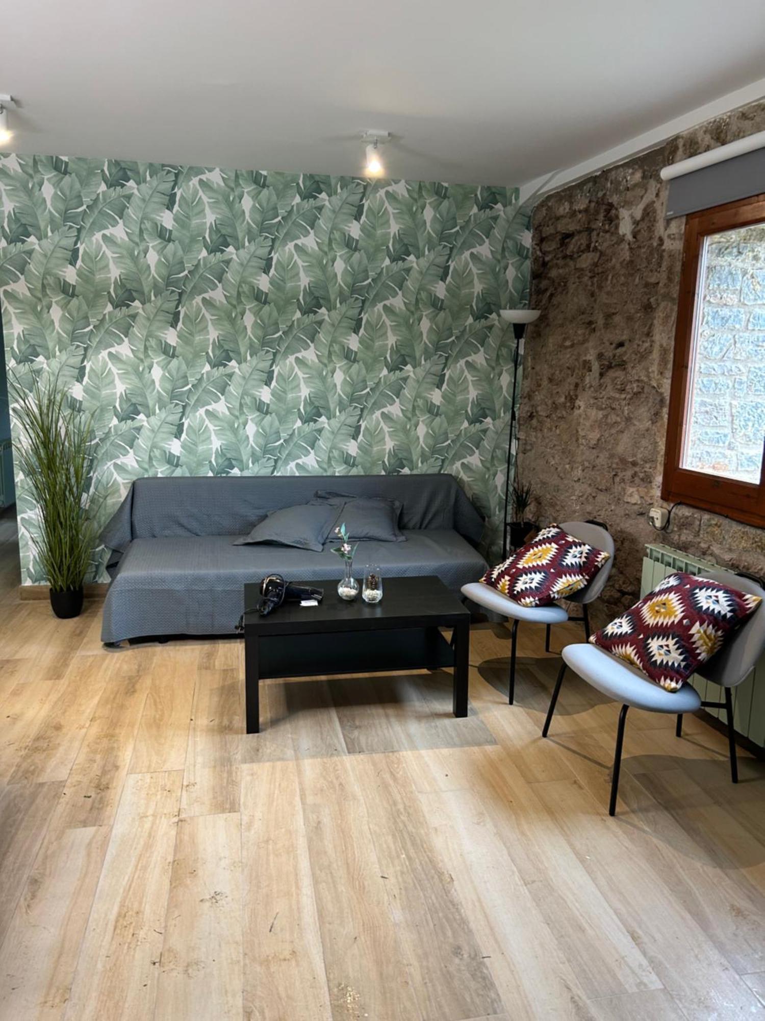 Apartament Cal Xesc Castellar De N'Hug Zewnętrze zdjęcie